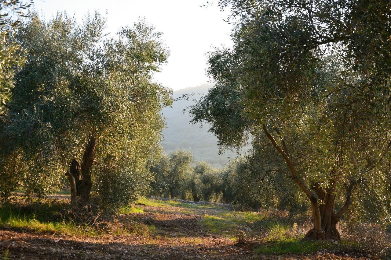 Torre Bruno Villa Carpino Buitenkant foto